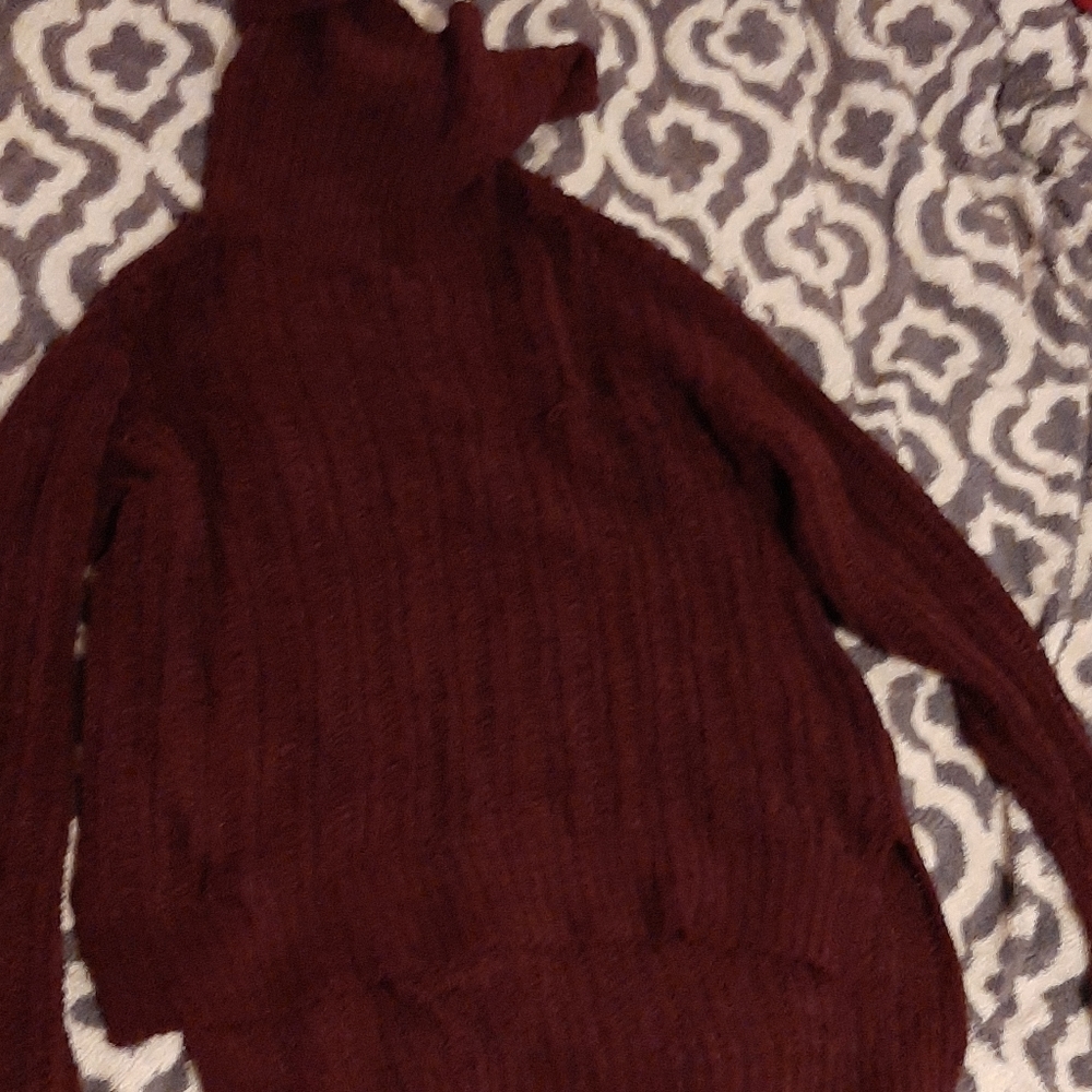 Xhiliration turtle neck sweater
